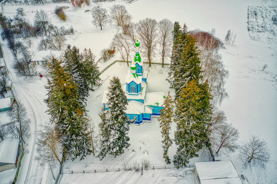 green pine tree on snow covered ground