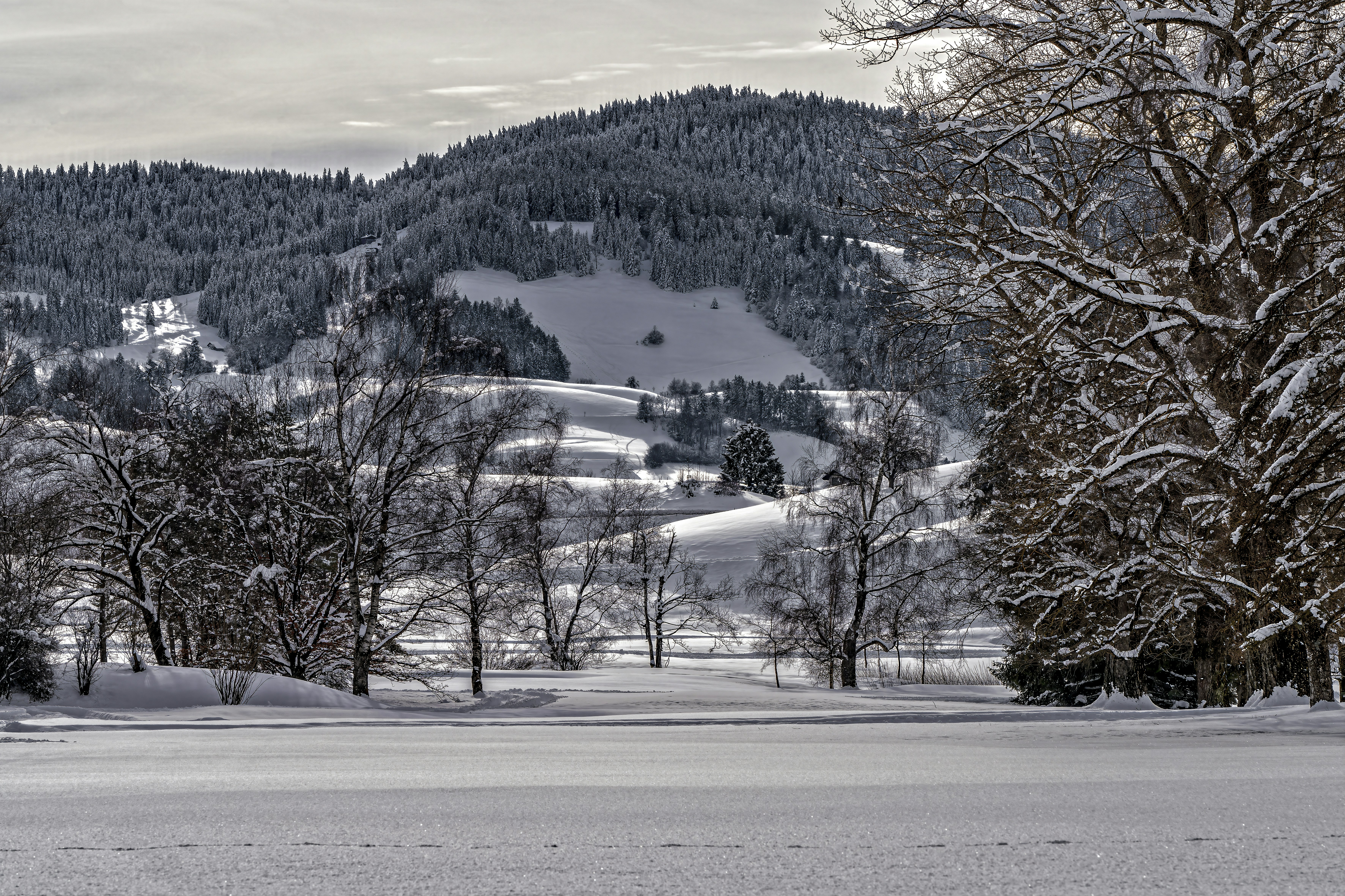 Photo by rgaleriacom