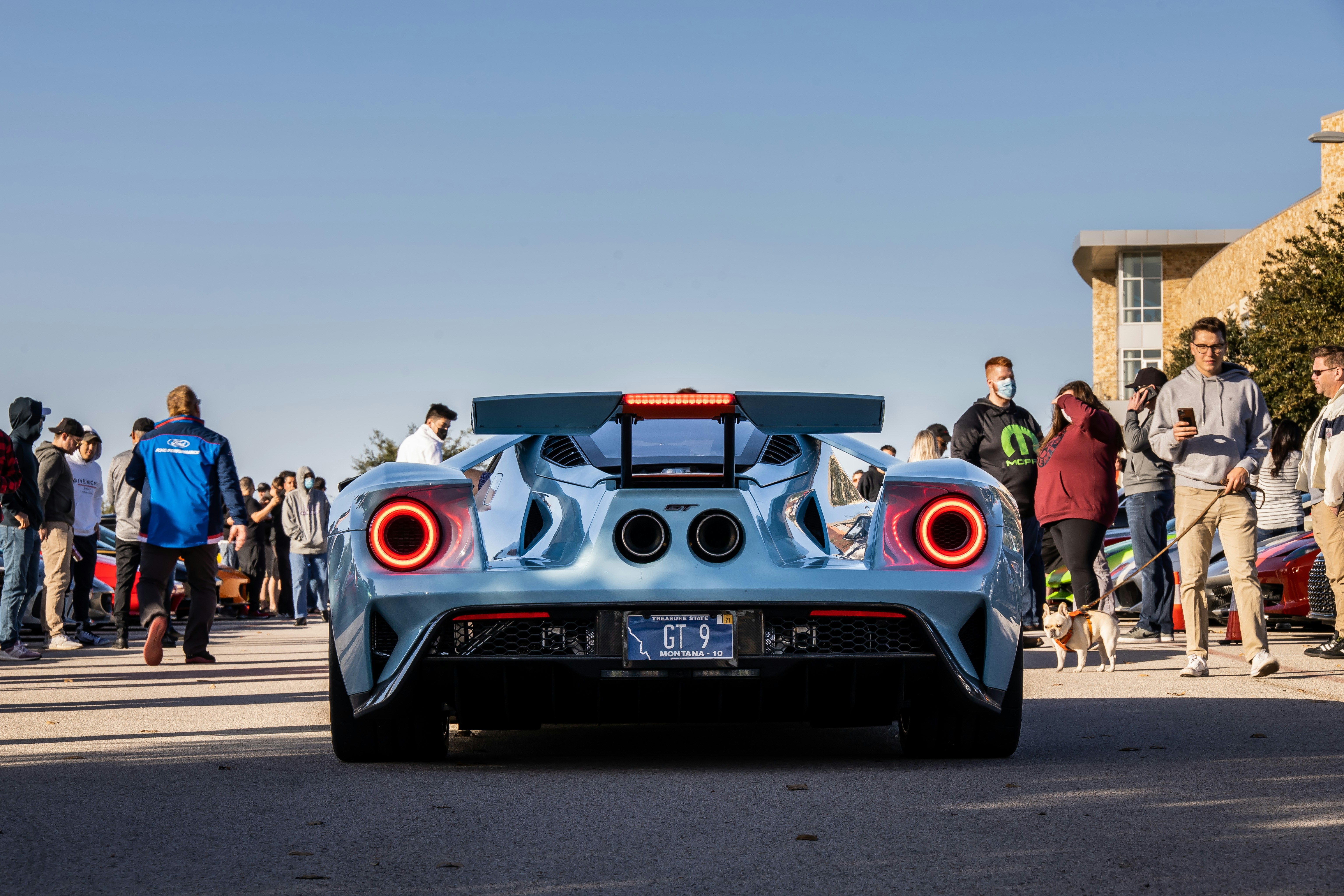 Photo by lonestarexotic