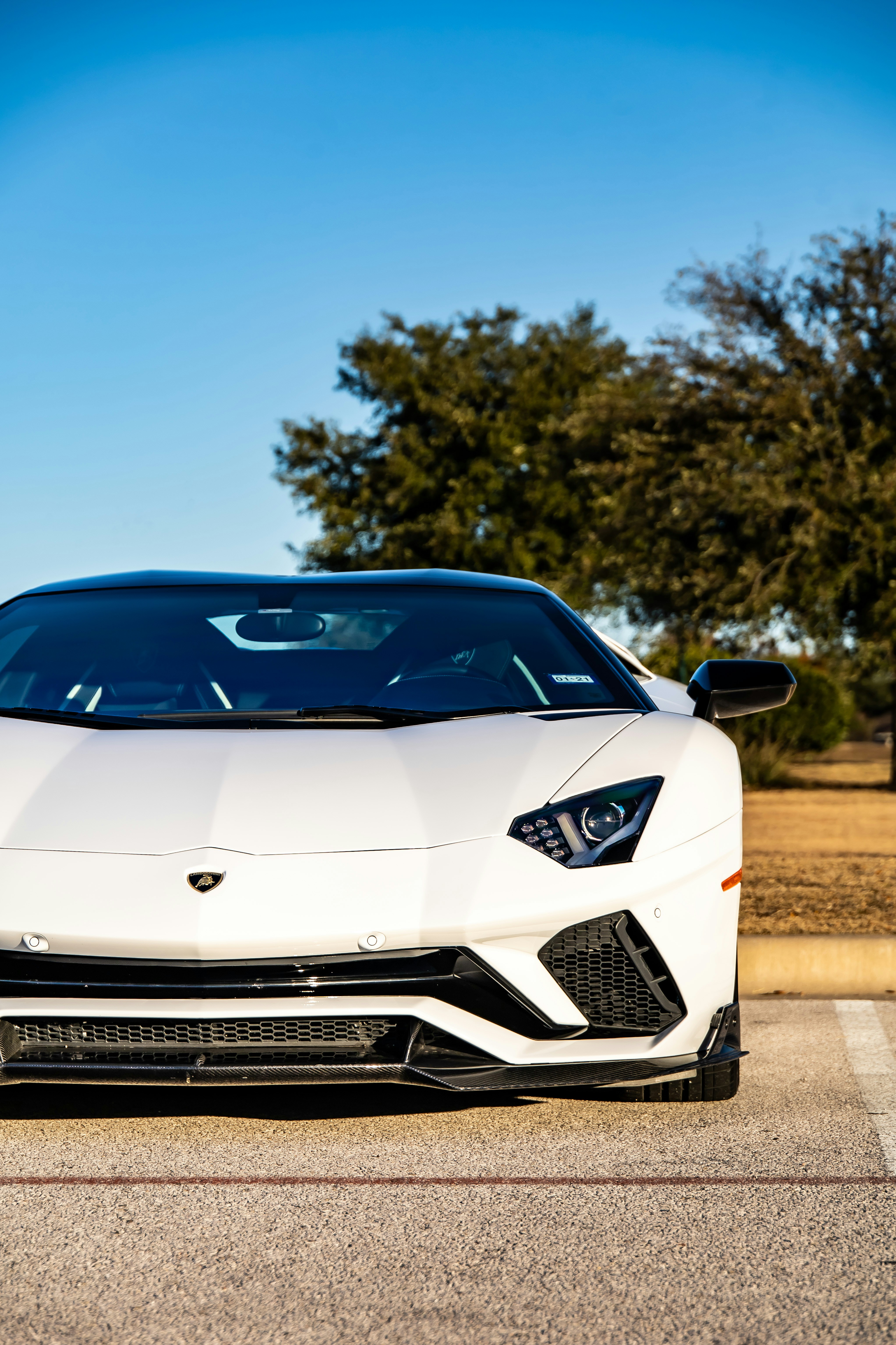 魅力の オルゴナイト ランボルギーニ 置物 インテリア 住まい 小物 Belvtor By