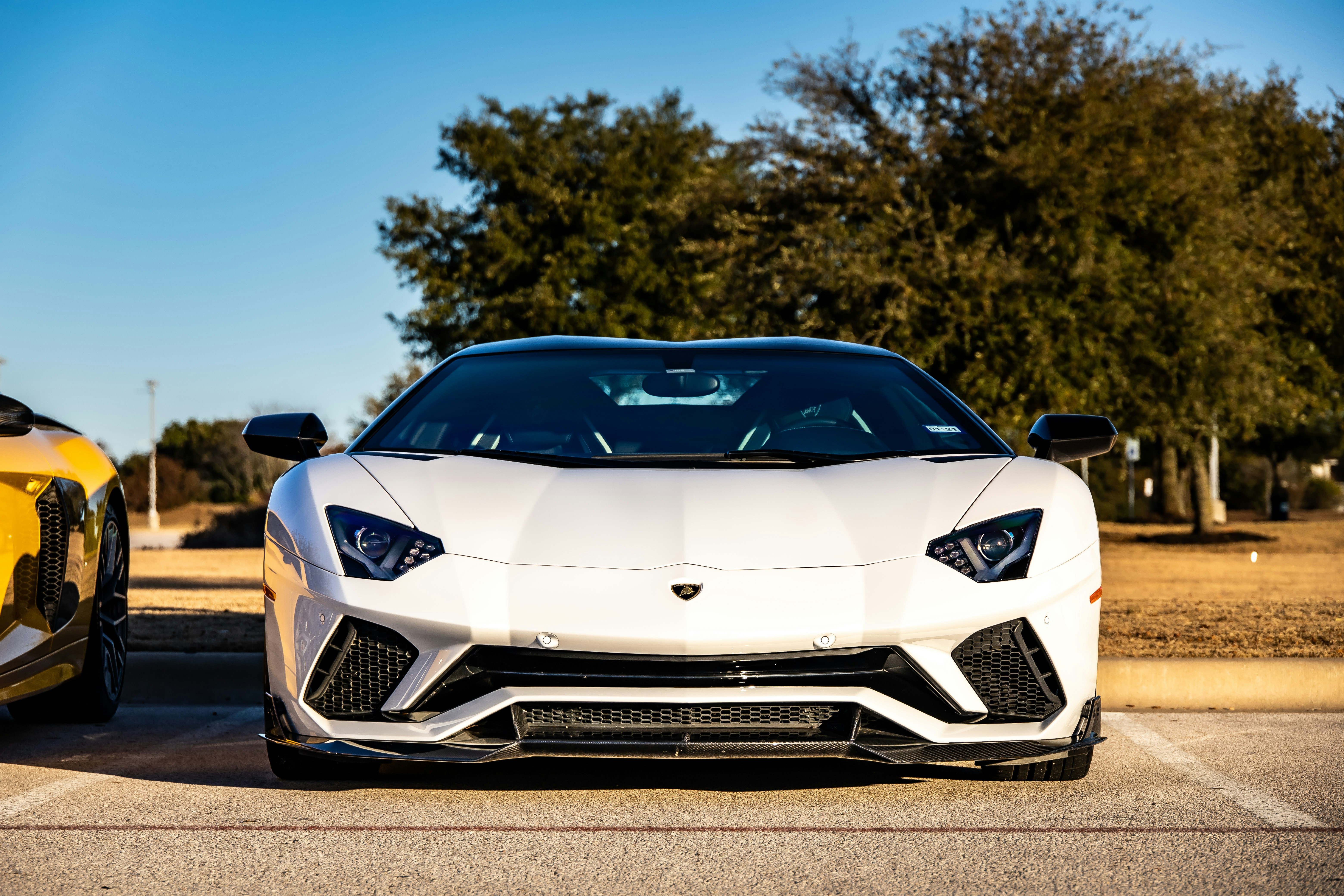 Photo by lonestarexotic