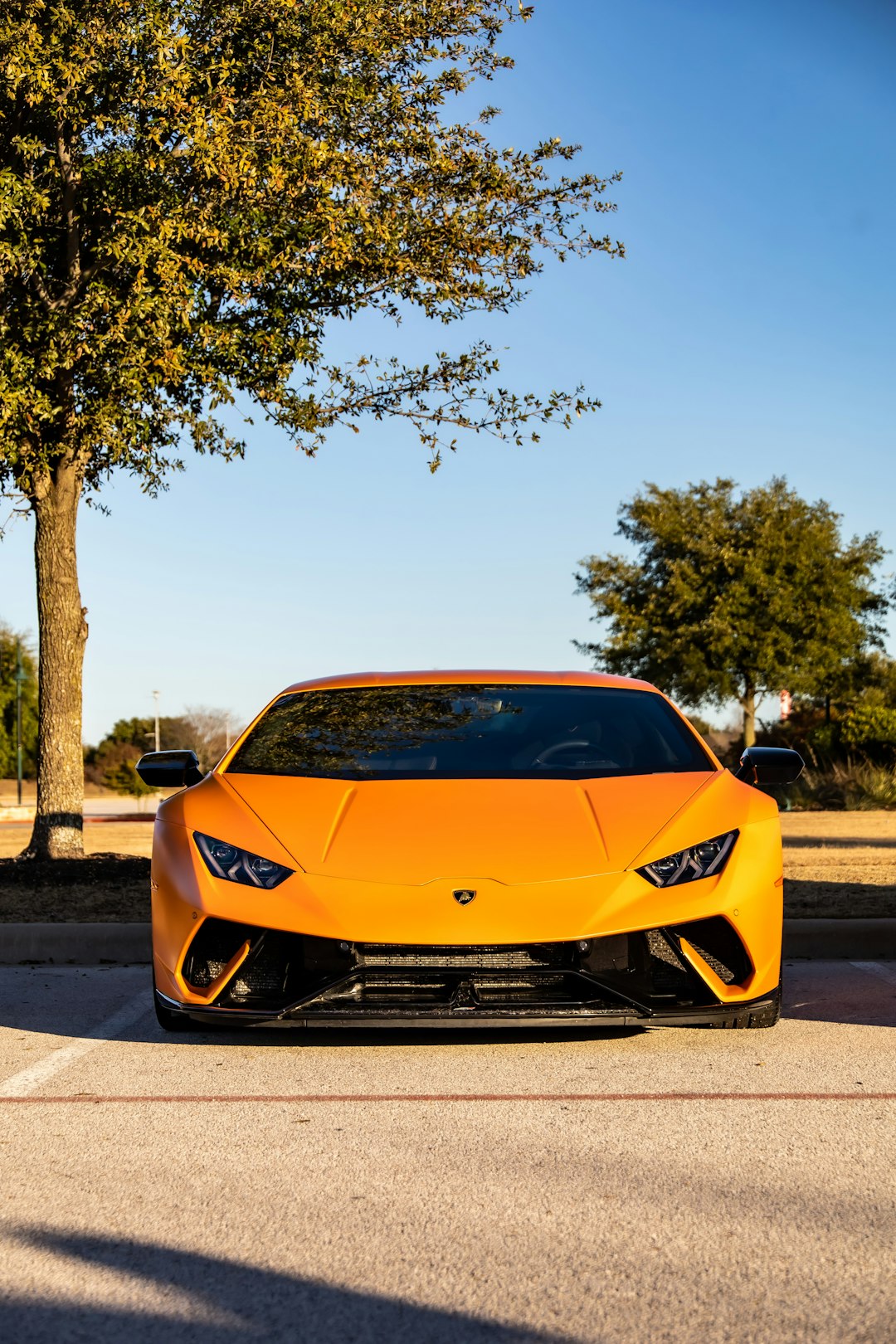 yellow lamborghini aventador parked on gray concrete road during daytime