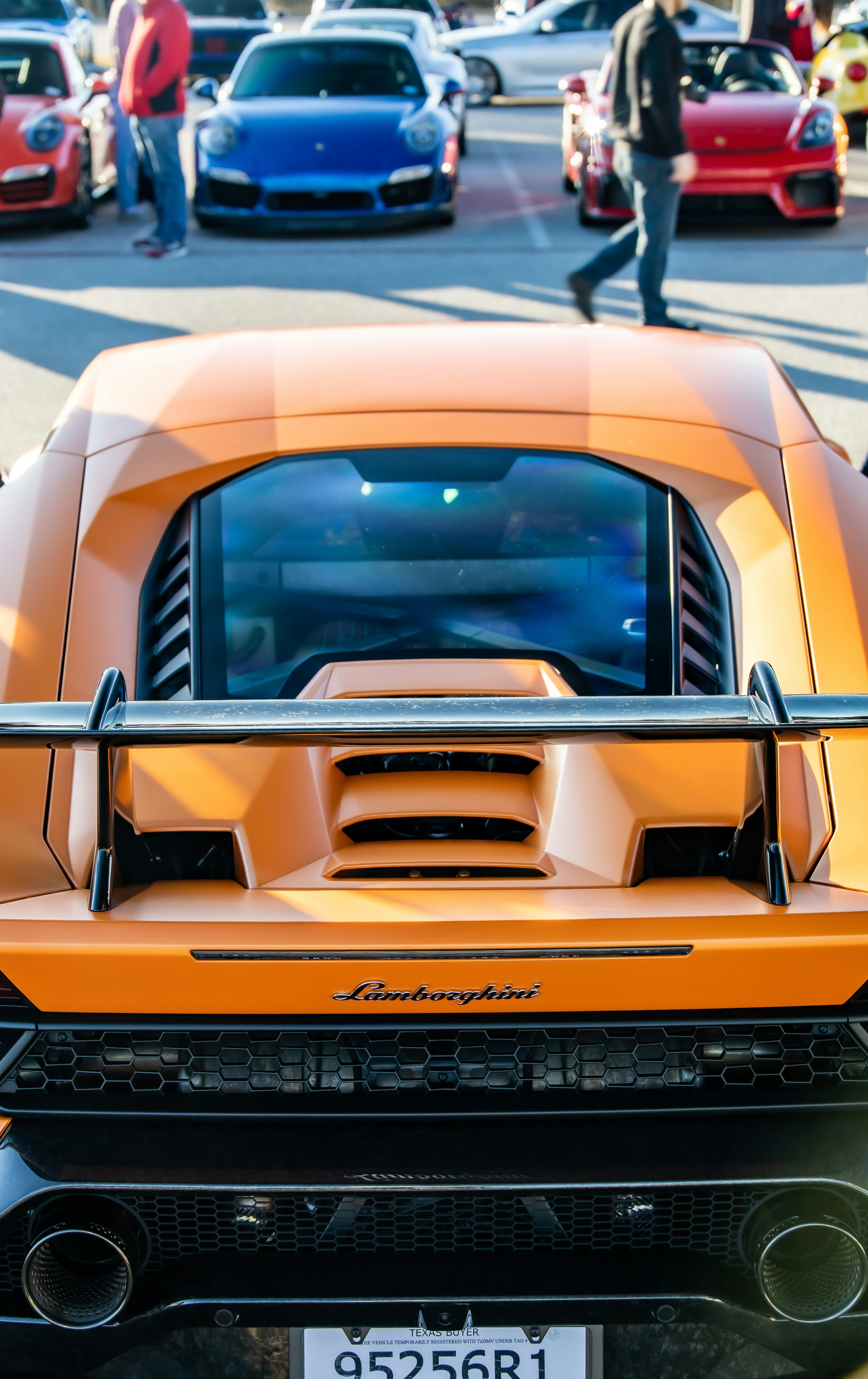 Photo by lonestarexotic