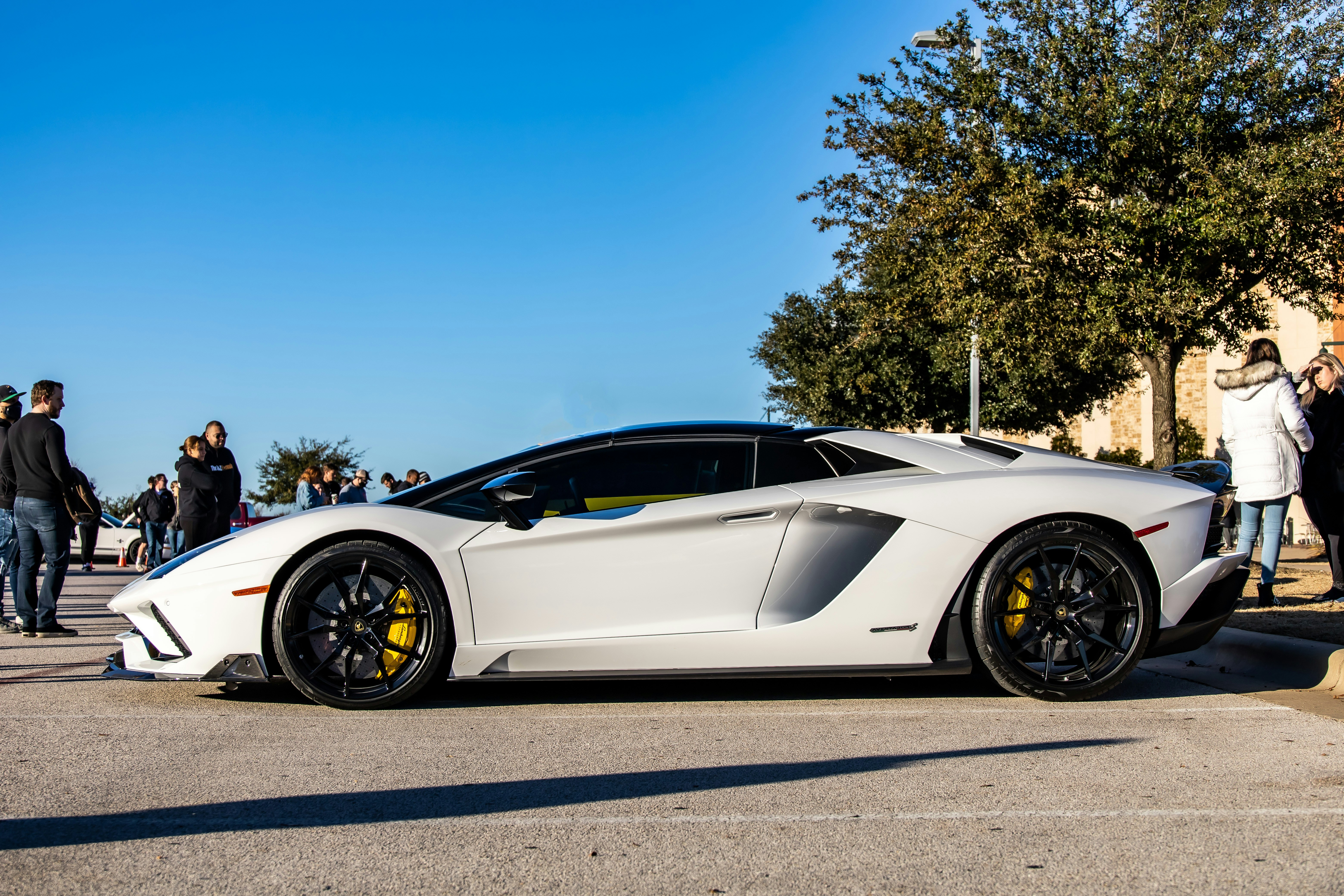 Photo by lonestarexotic