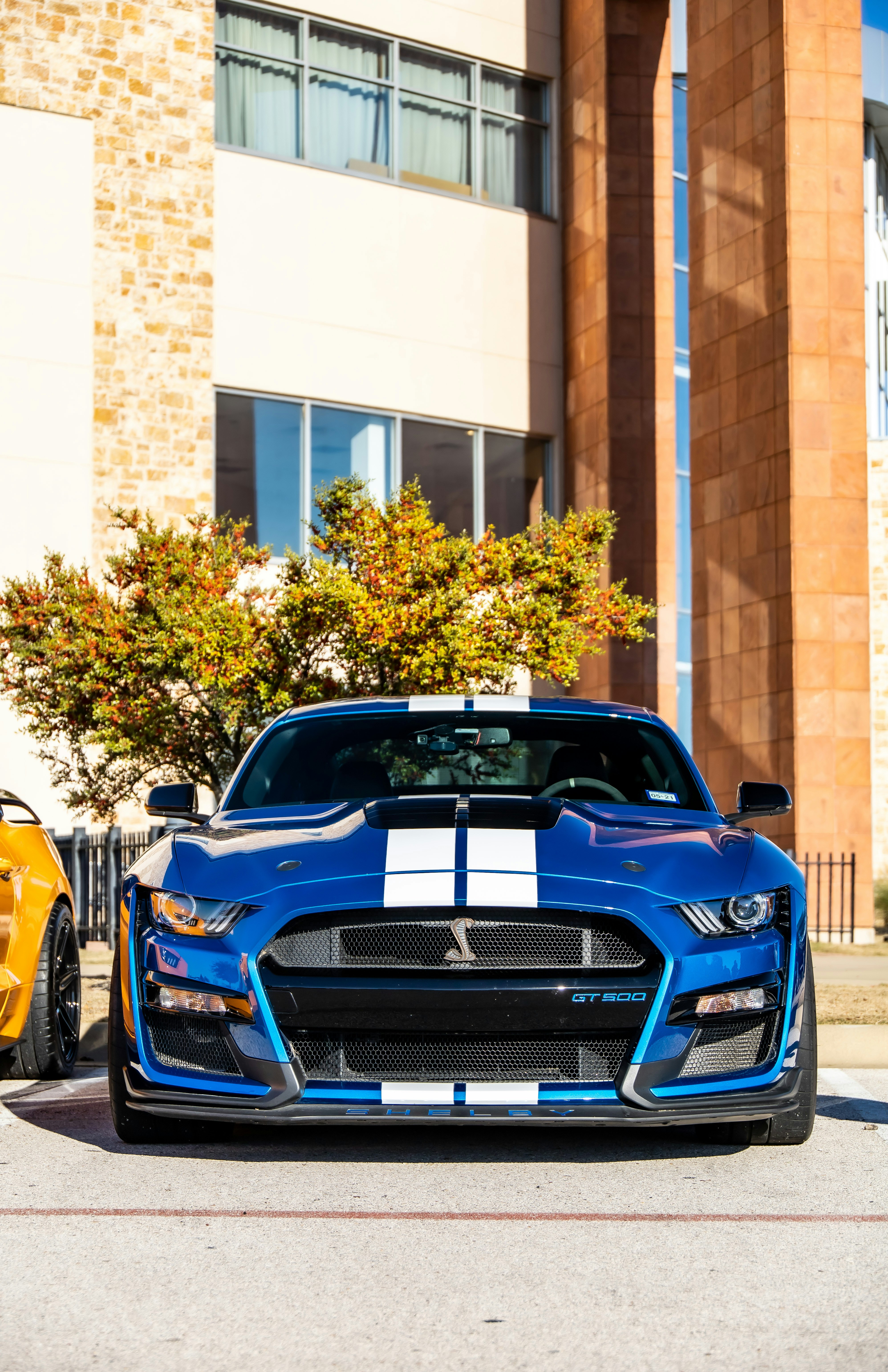 Photo by lonestarexotic