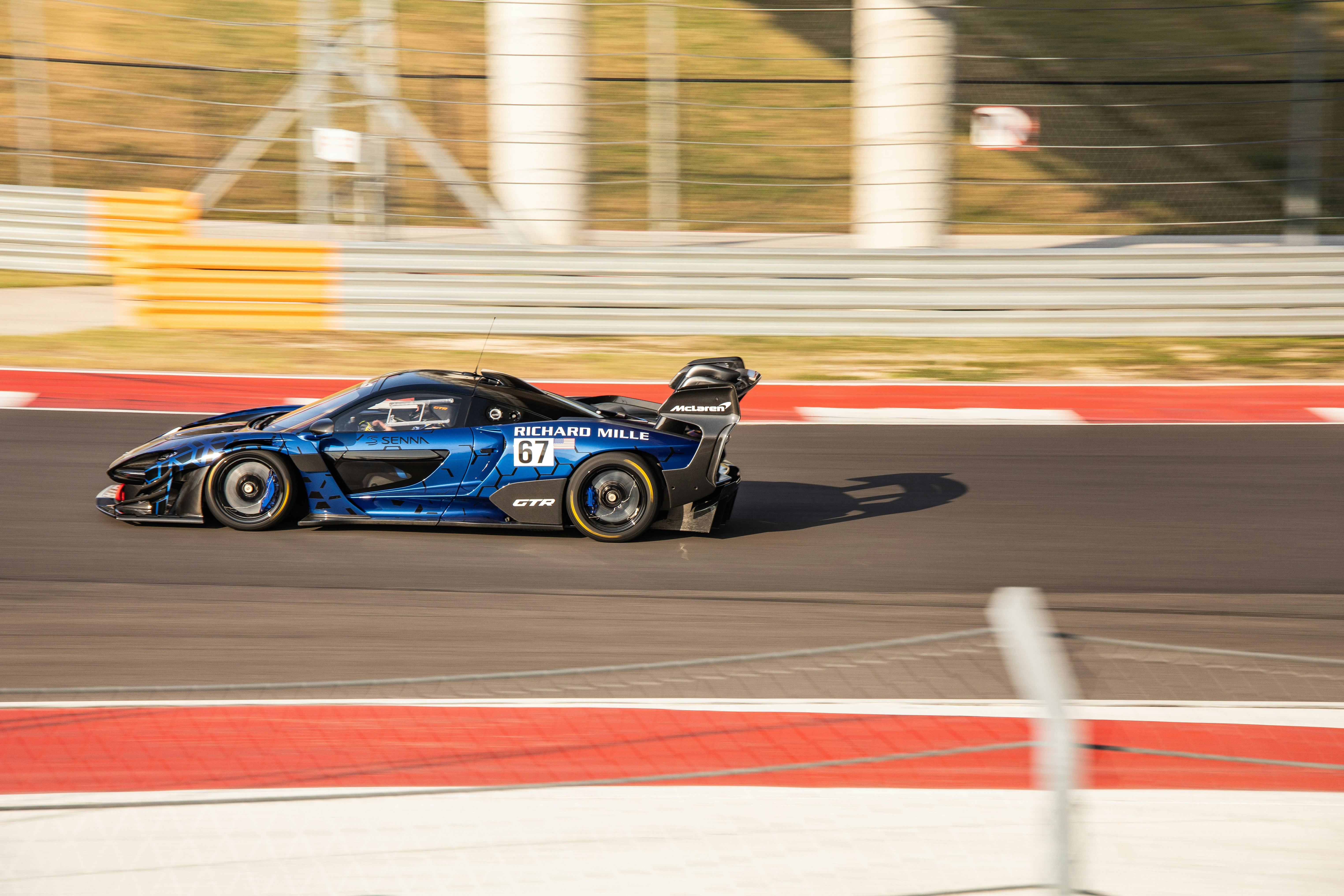 Photo by lonestarexotic