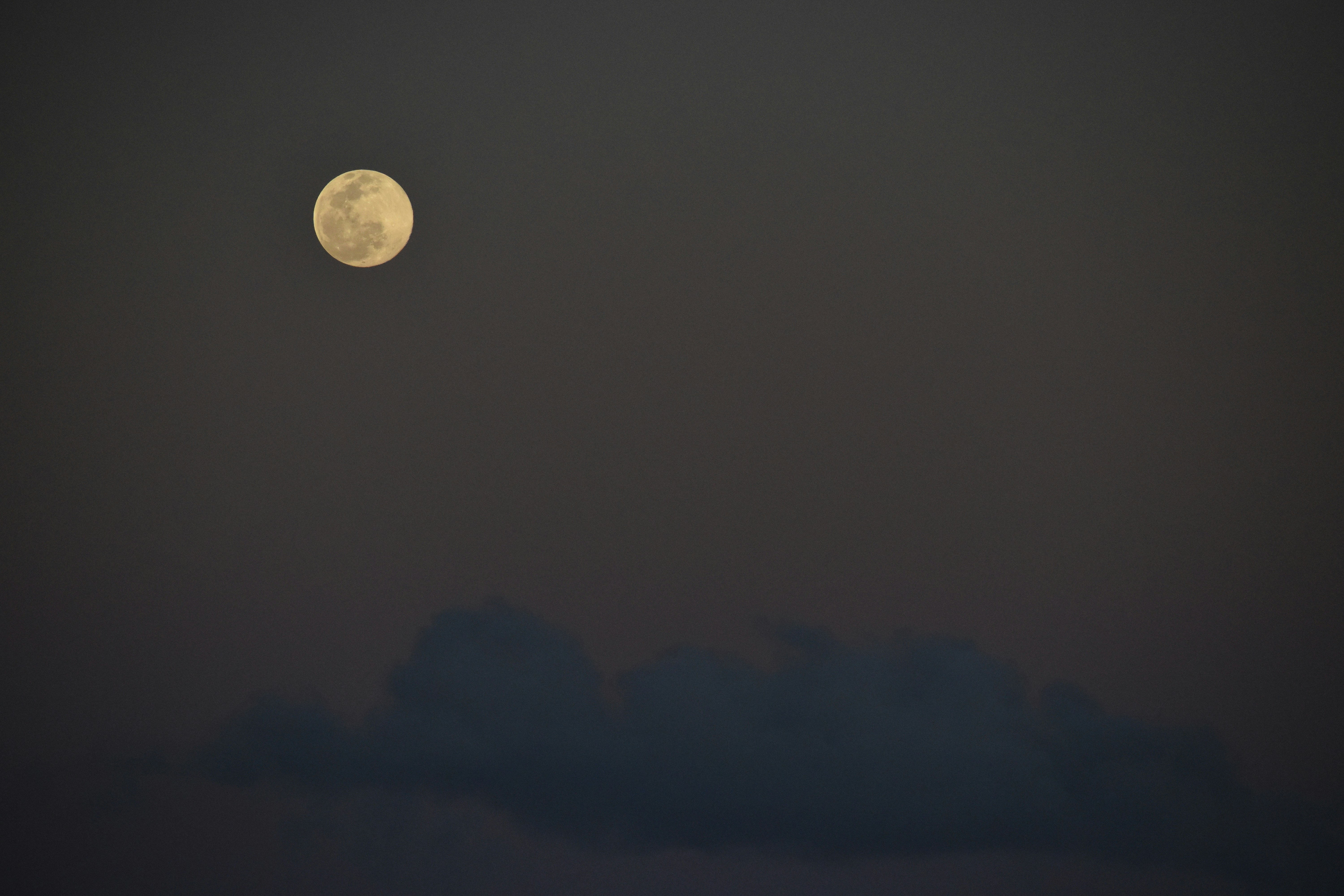 Photo by josemizrahi