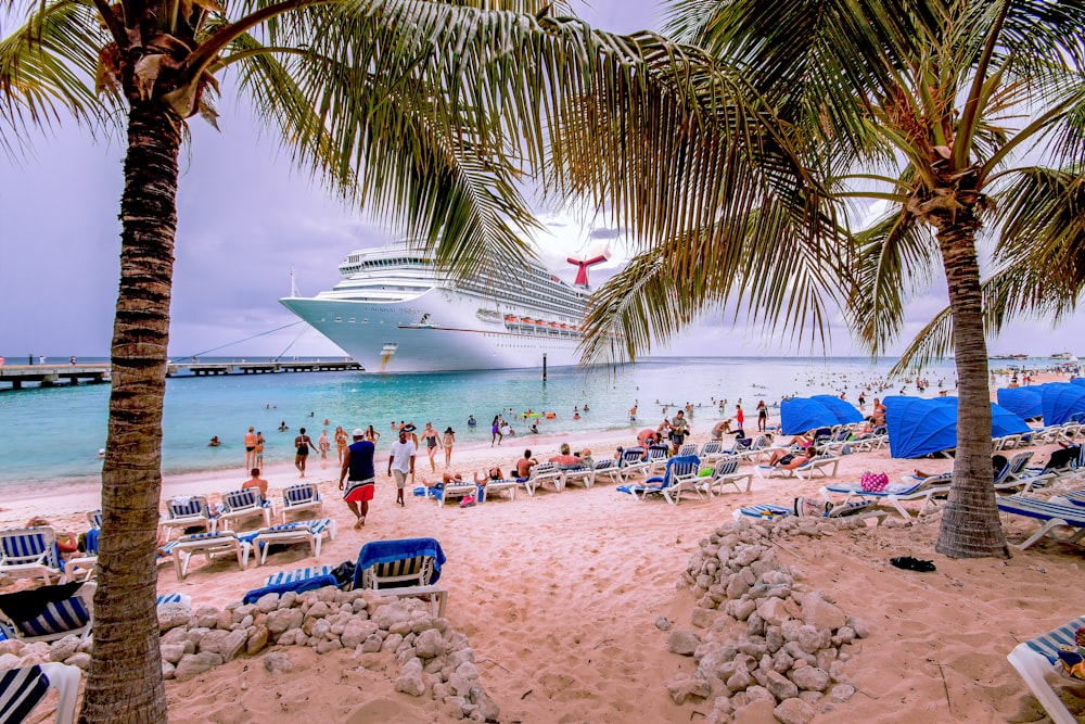 people on beach during daytime