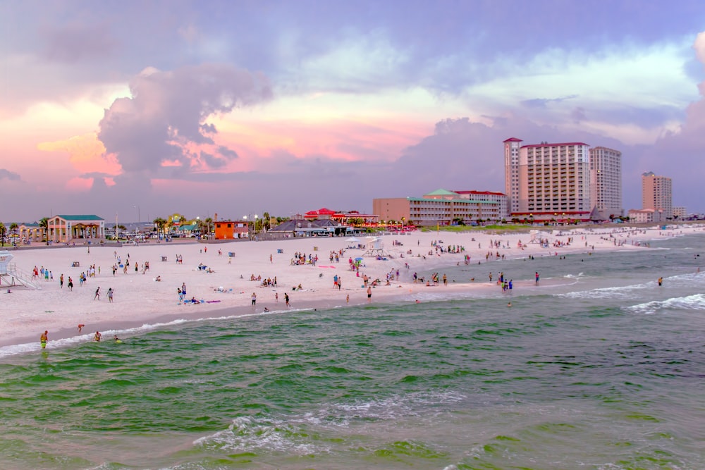 people on beach during daytime