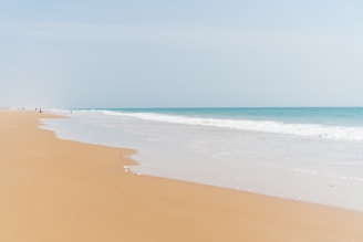 brown sand beach during daytime