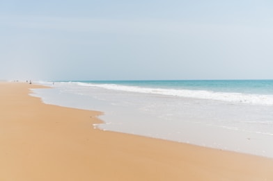brown sand beach during daytime