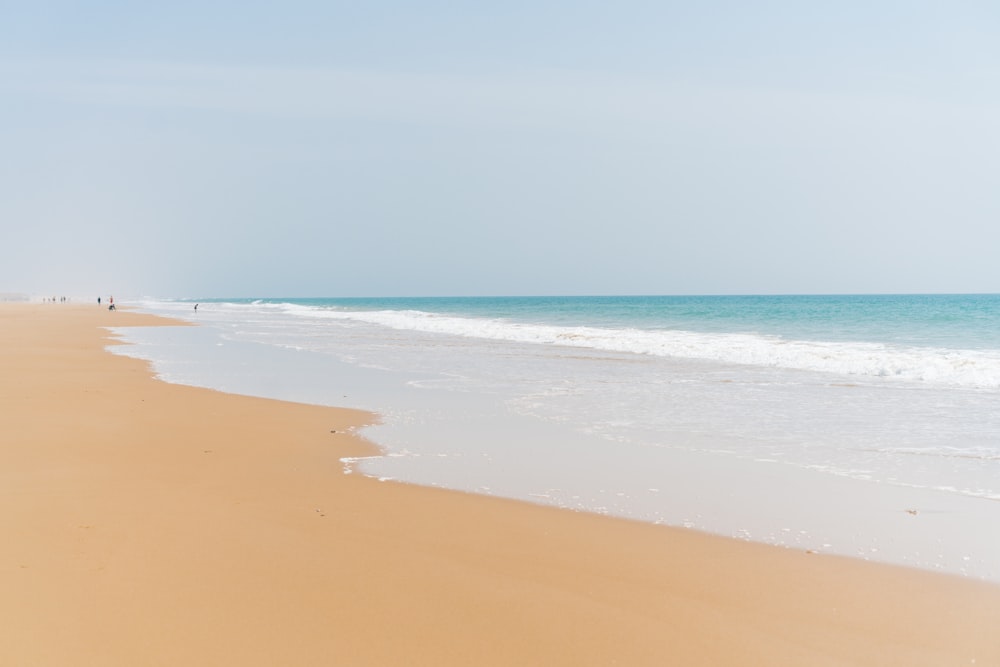 brown sand beach during daytime