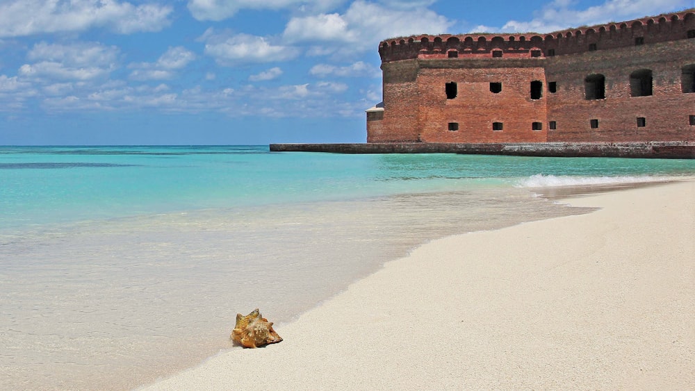 brown concrete building on beach during daytime