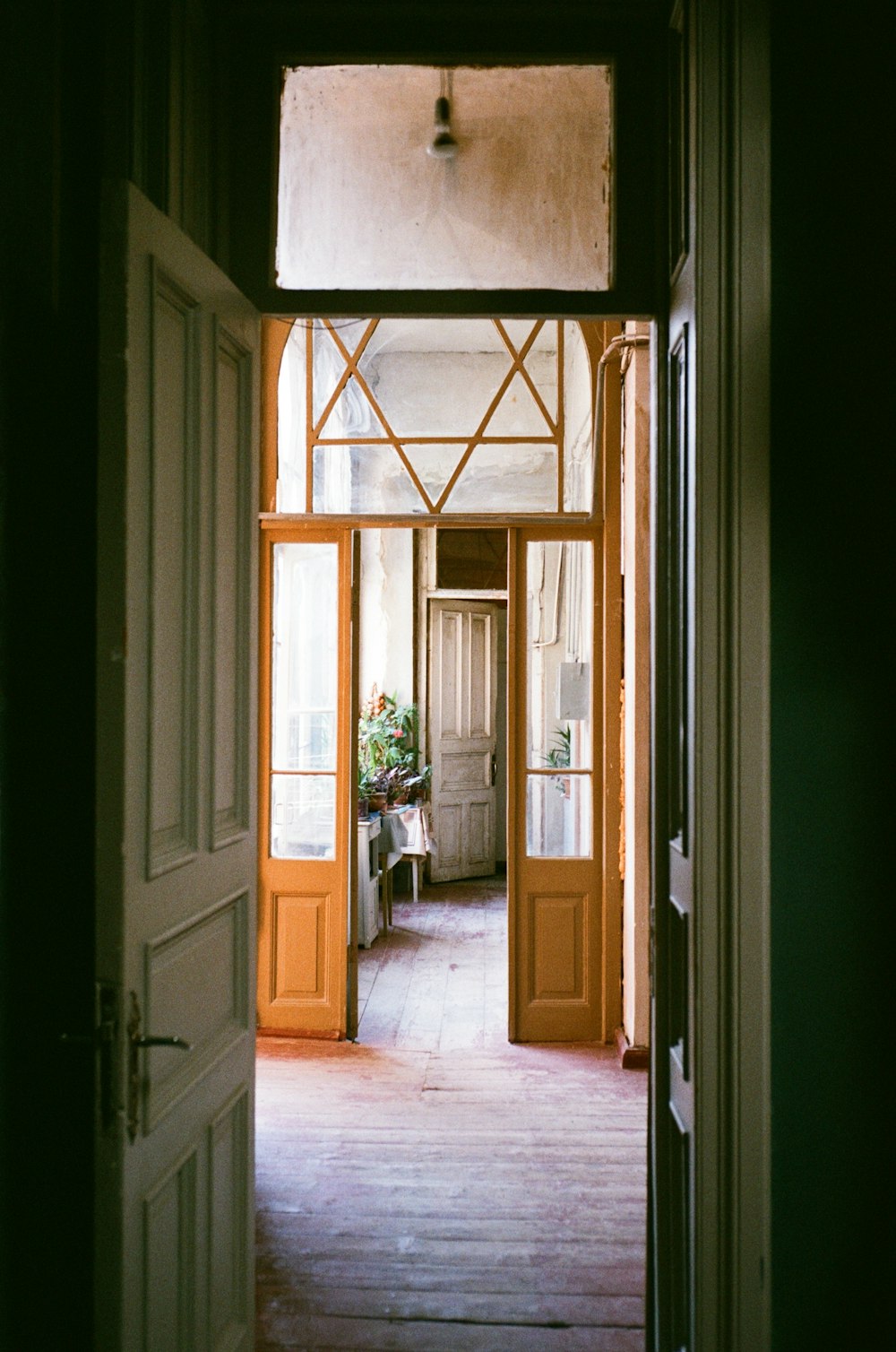 brown wooden door with glass panel