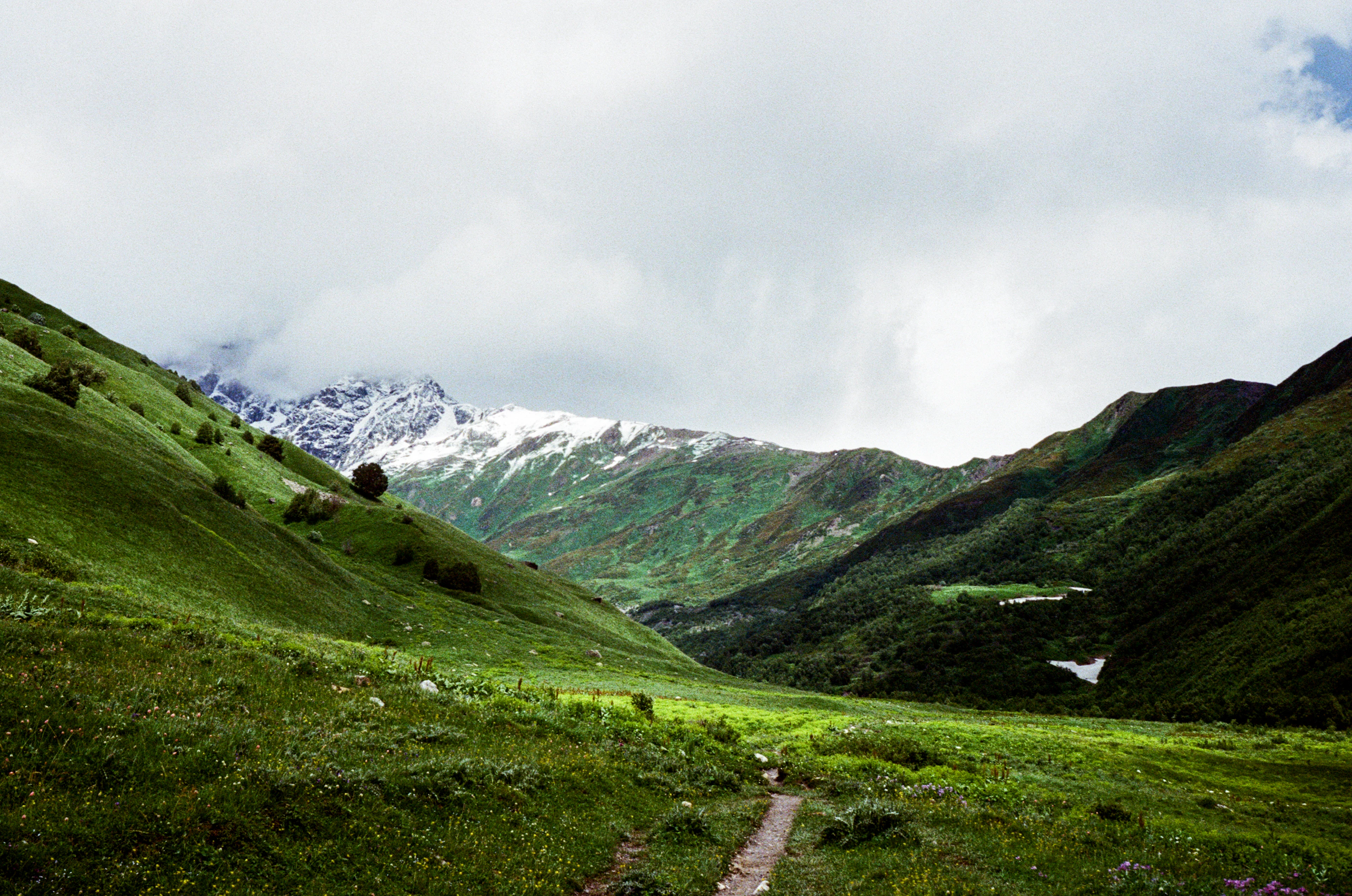 A path through the green Adishi valley towards snowy peaks