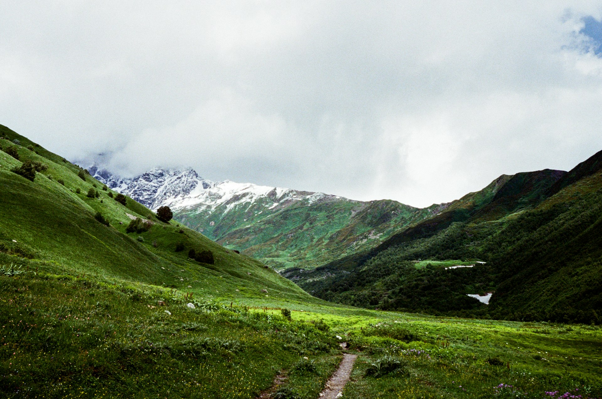 green grass field near mountain under white sky during daytime