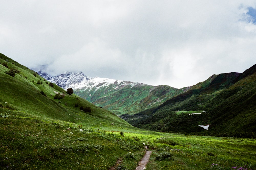 campo di erba verde vicino alla montagna sotto il cielo bianco durante il giorno