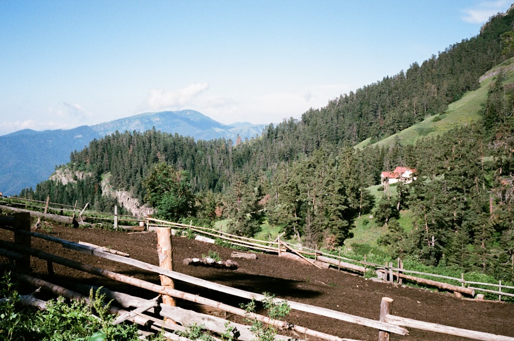 green trees on mountain under blue sky during daytime