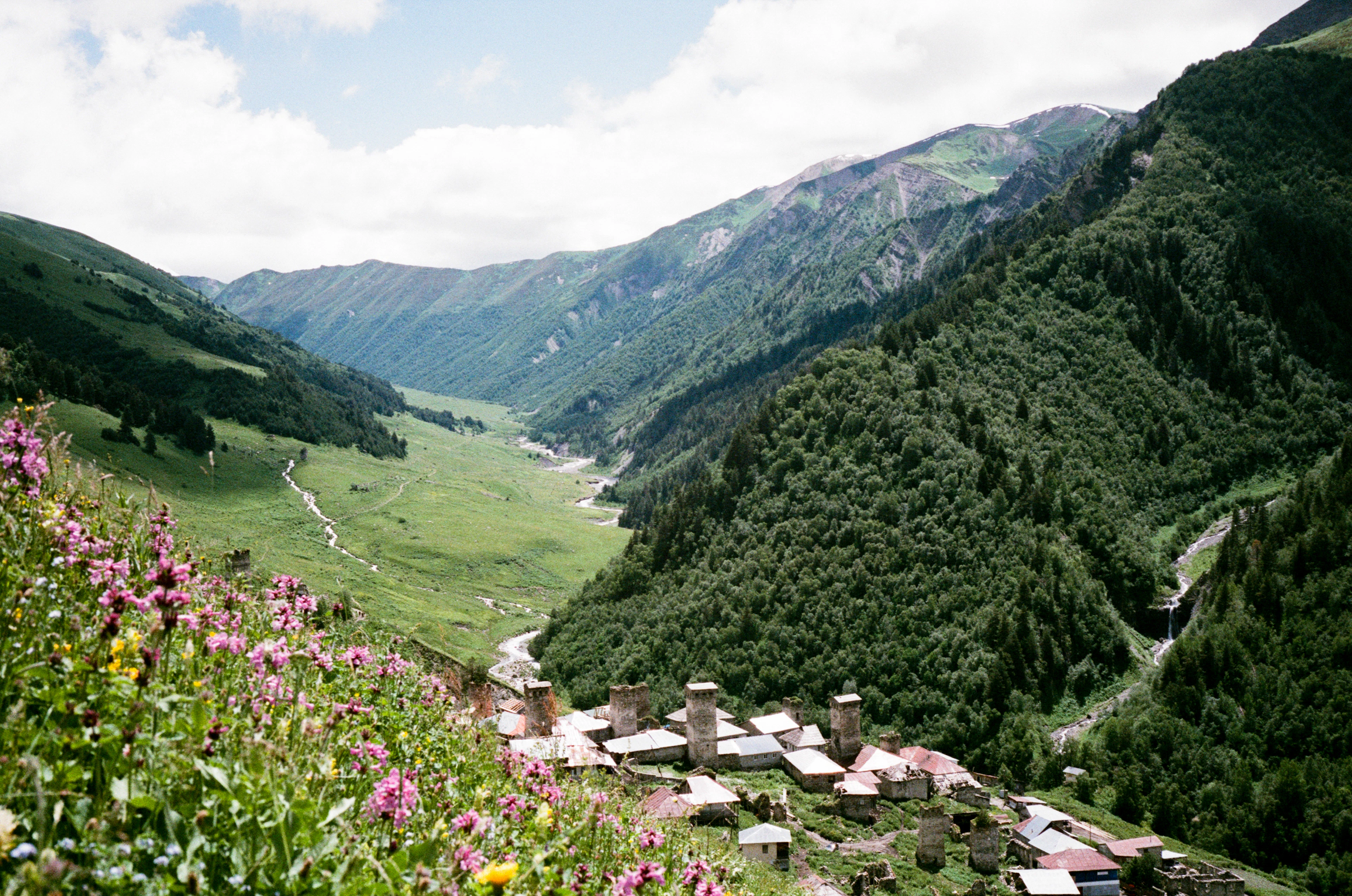Adishi village and its towers in the valley, with a flowering meadow in the foreground