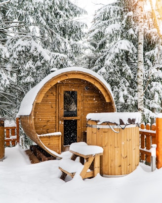 brown wooden house covered with snow
