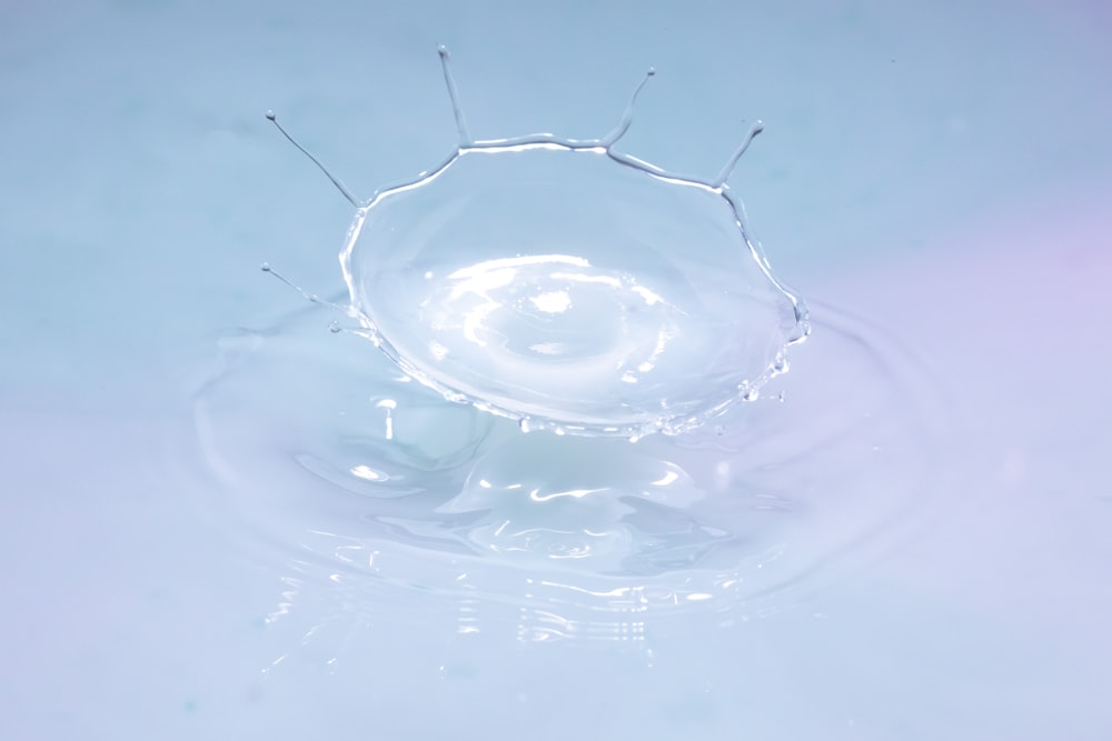 water drop in clear glass bowl