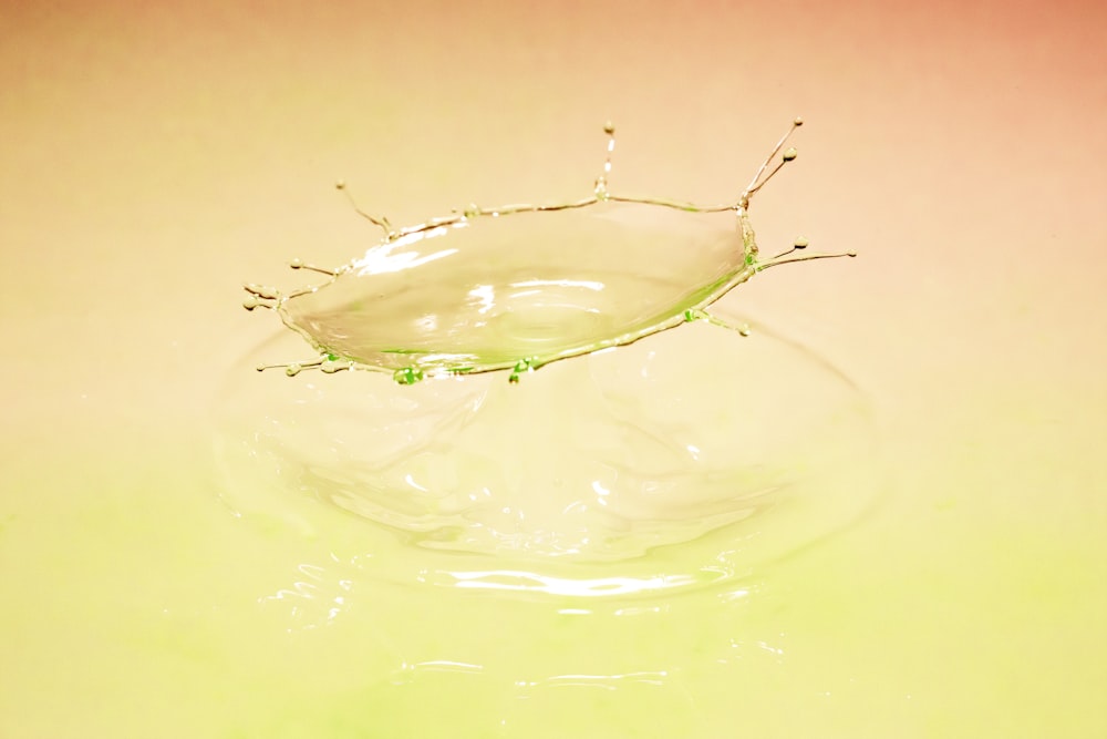 hoja verde sobre agua con gotas de agua