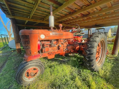 A rustic tractor parked beside rows of green vines under a clear blue sky.