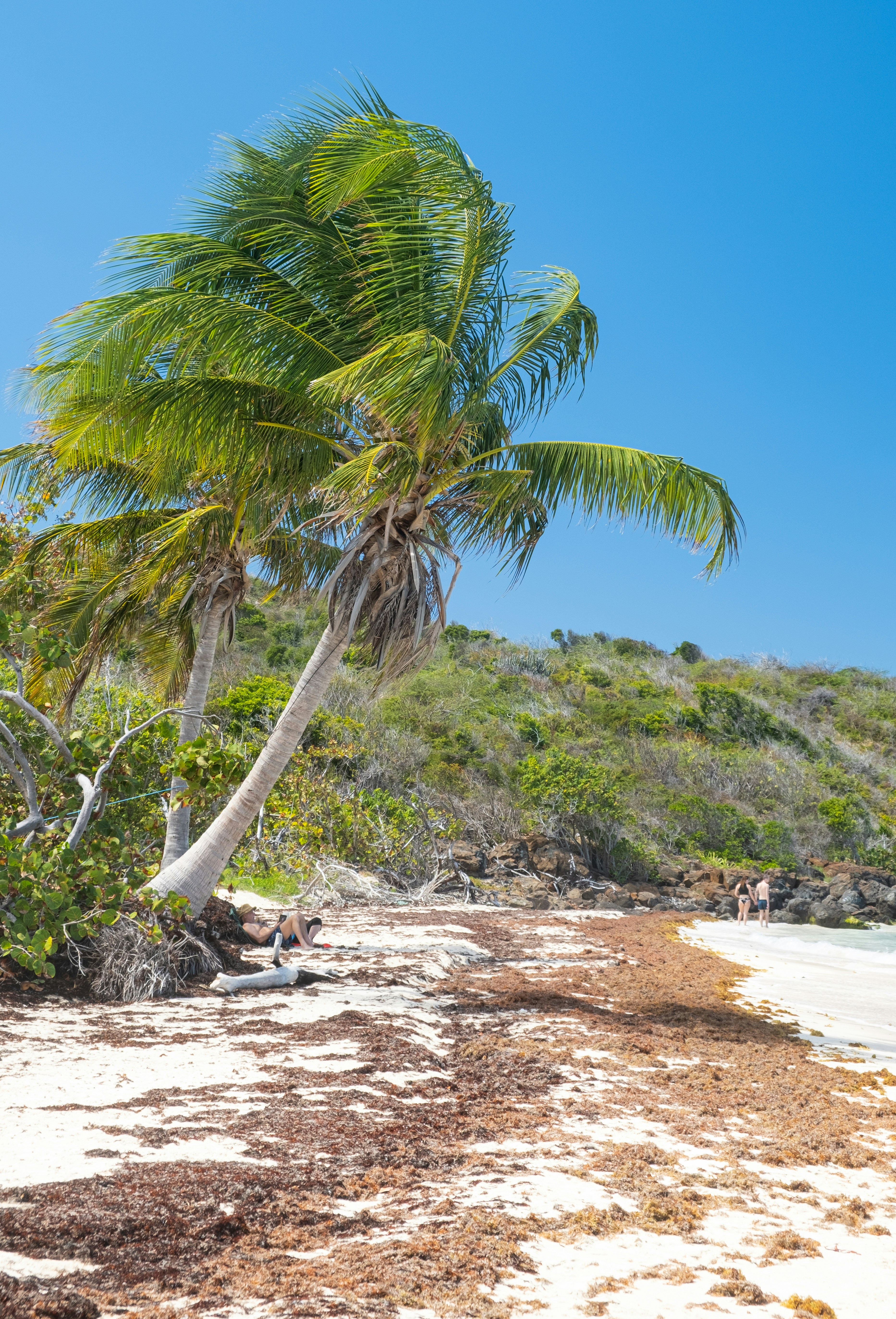 Photo by wenhao_ruan