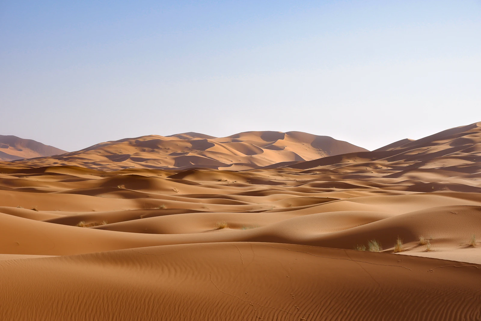 Giza landscape