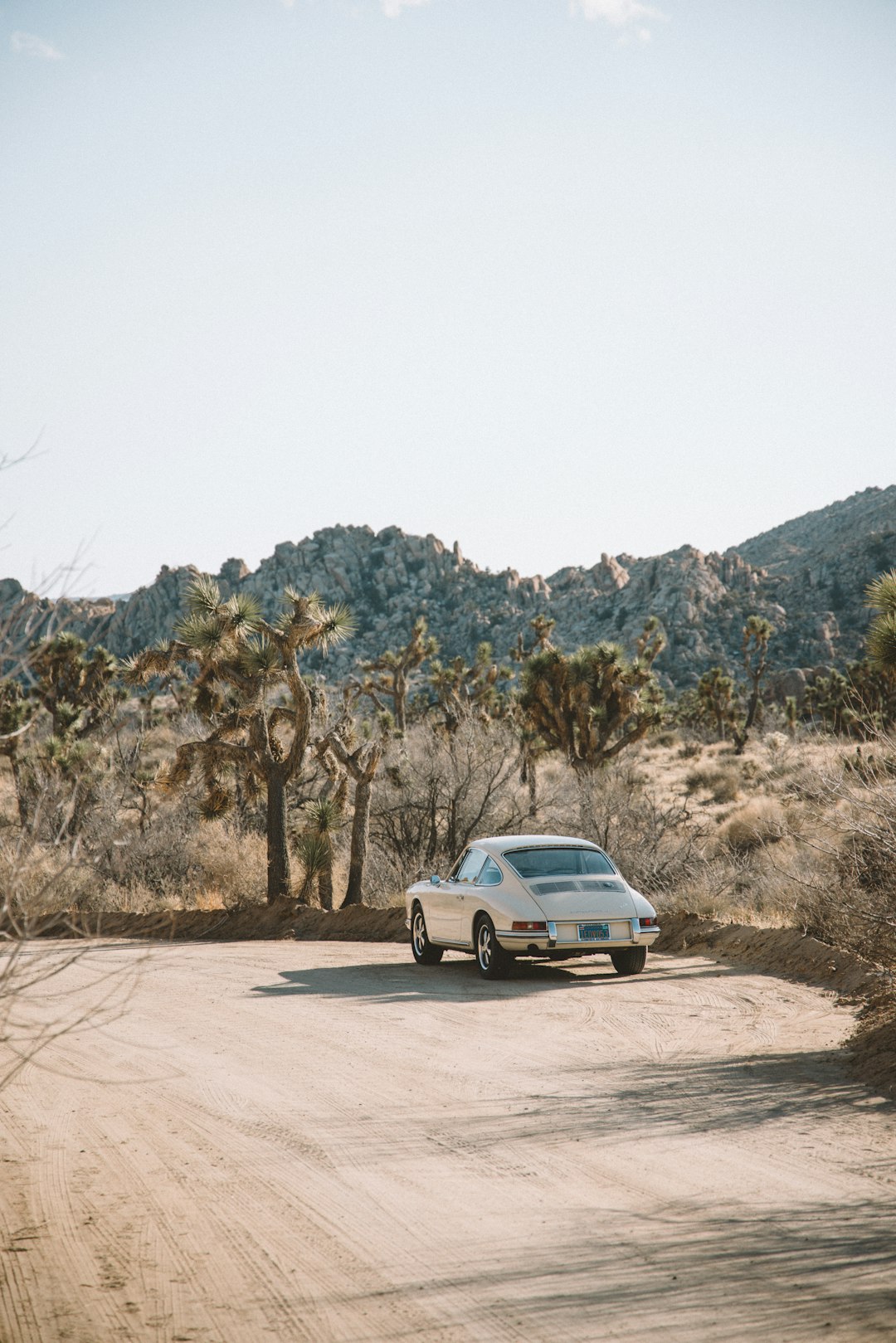 white car on dirt road near trees during daytime