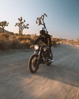 A motorcyclist rides along a dusty, winding road through a desert landscape dotted with Joshua trees. The scene captures the warm glow of the setting or rising sun, casting long shadows and an atmospheric light. The rider wears a helmet and leather jacket, leaning slightly forward on a vintage-style bike.