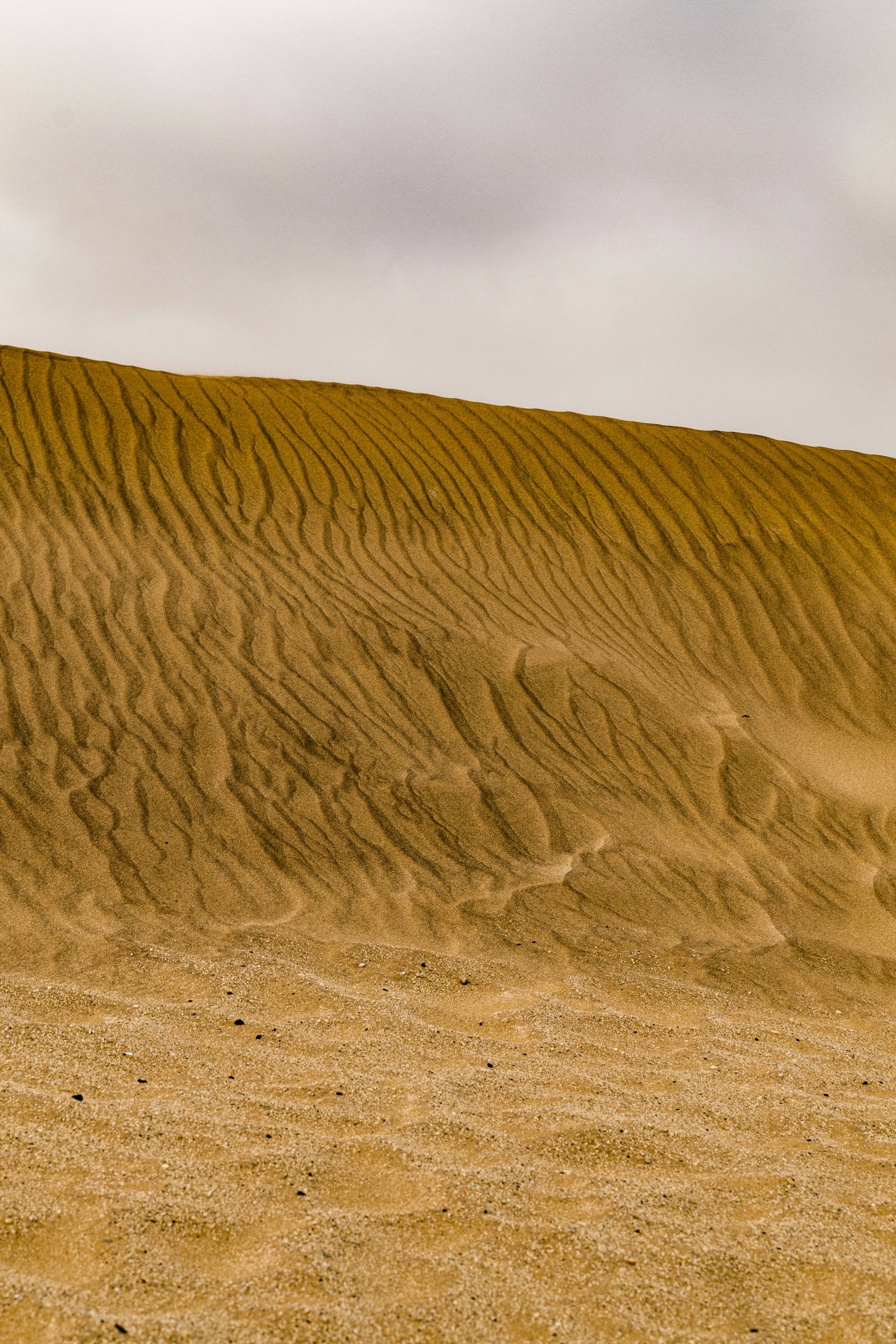 brown sand under white sky during daytime