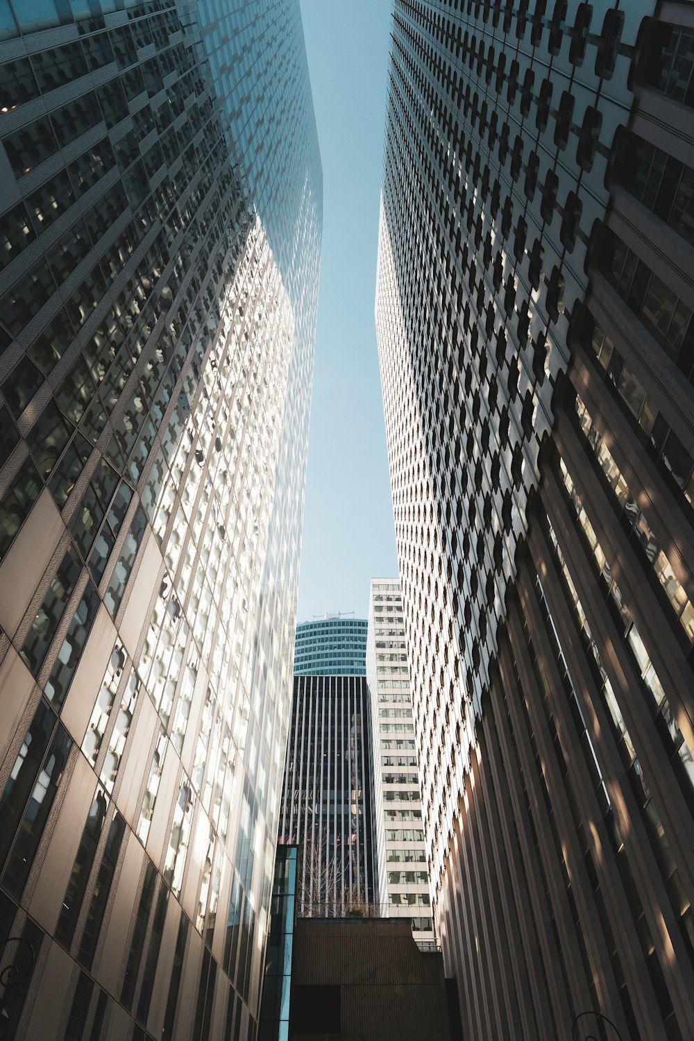 brown and white high rise buildings