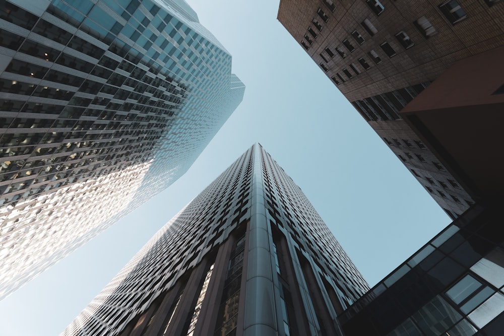 Fotografía de ángulo bajo de edificios de gran altura