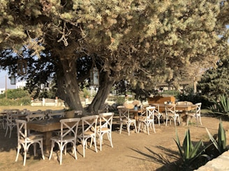 A rustic wooden garden dining set nestled under a large oak tree, inviting for family dinners.