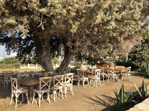 A rustic wooden garden dining set nestled under a large oak tree, inviting for family dinners.