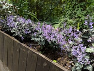 A rustic wooden planter box filled with blooming herbs and flowers on a sunny patio.