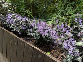 A rustic wooden planter box filled with blooming herbs and flowers on a sunny patio.