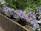 A rustic wooden planter box filled with colorful flowers sitting on a sunlit porch.