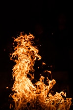 fire in the dark during night time