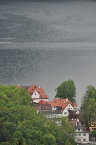 A serene lakeside scene features a cluster of houses with red roofs nestled among lush green trees. The calm water of the lake occupies the background, creating a peaceful atmosphere.