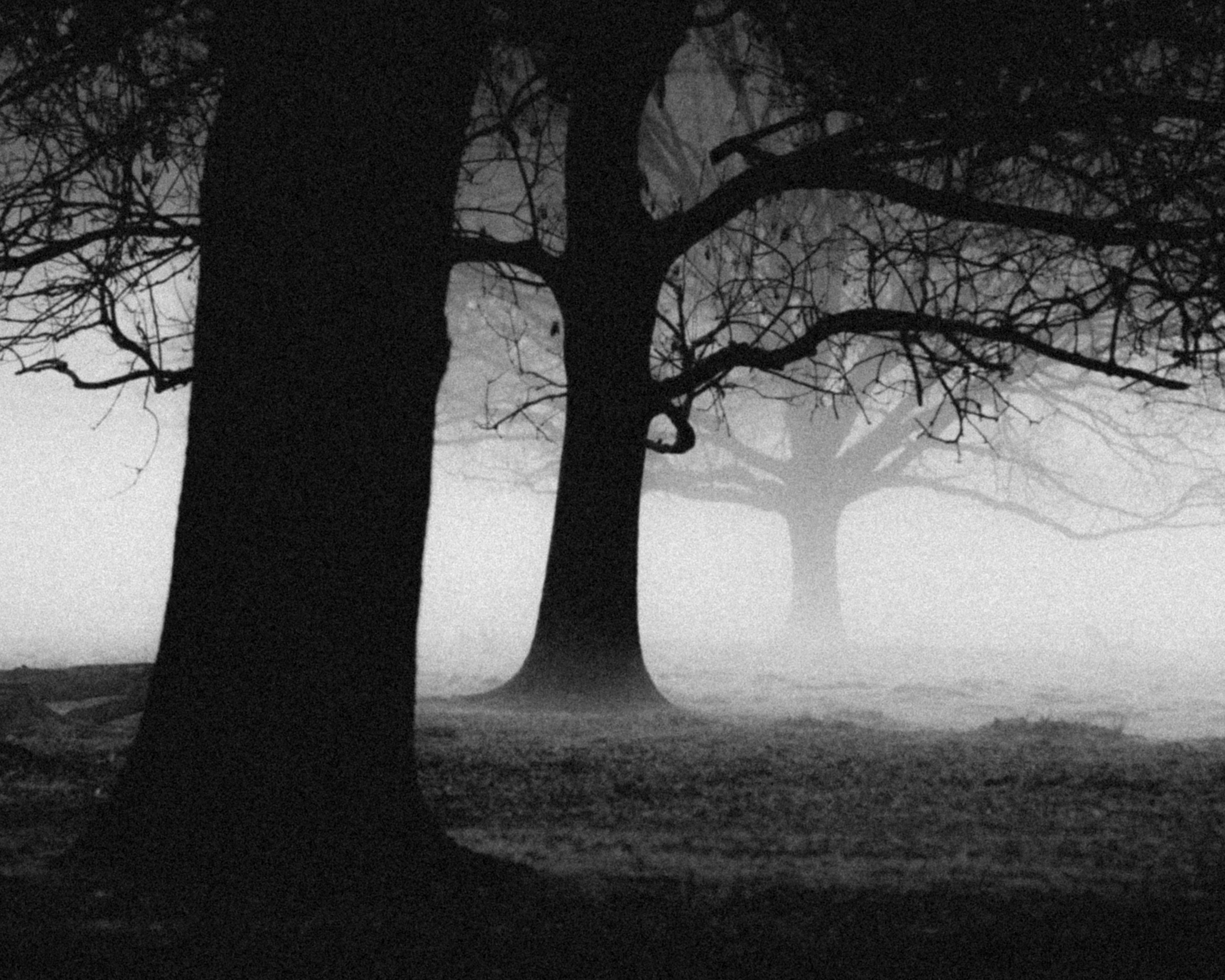 Photo by jeromebarre