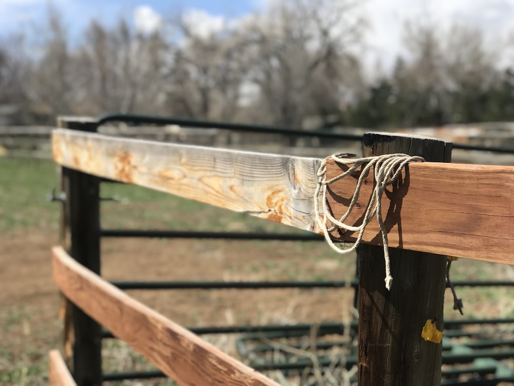 white rope tied on brown wooden fence during daytime