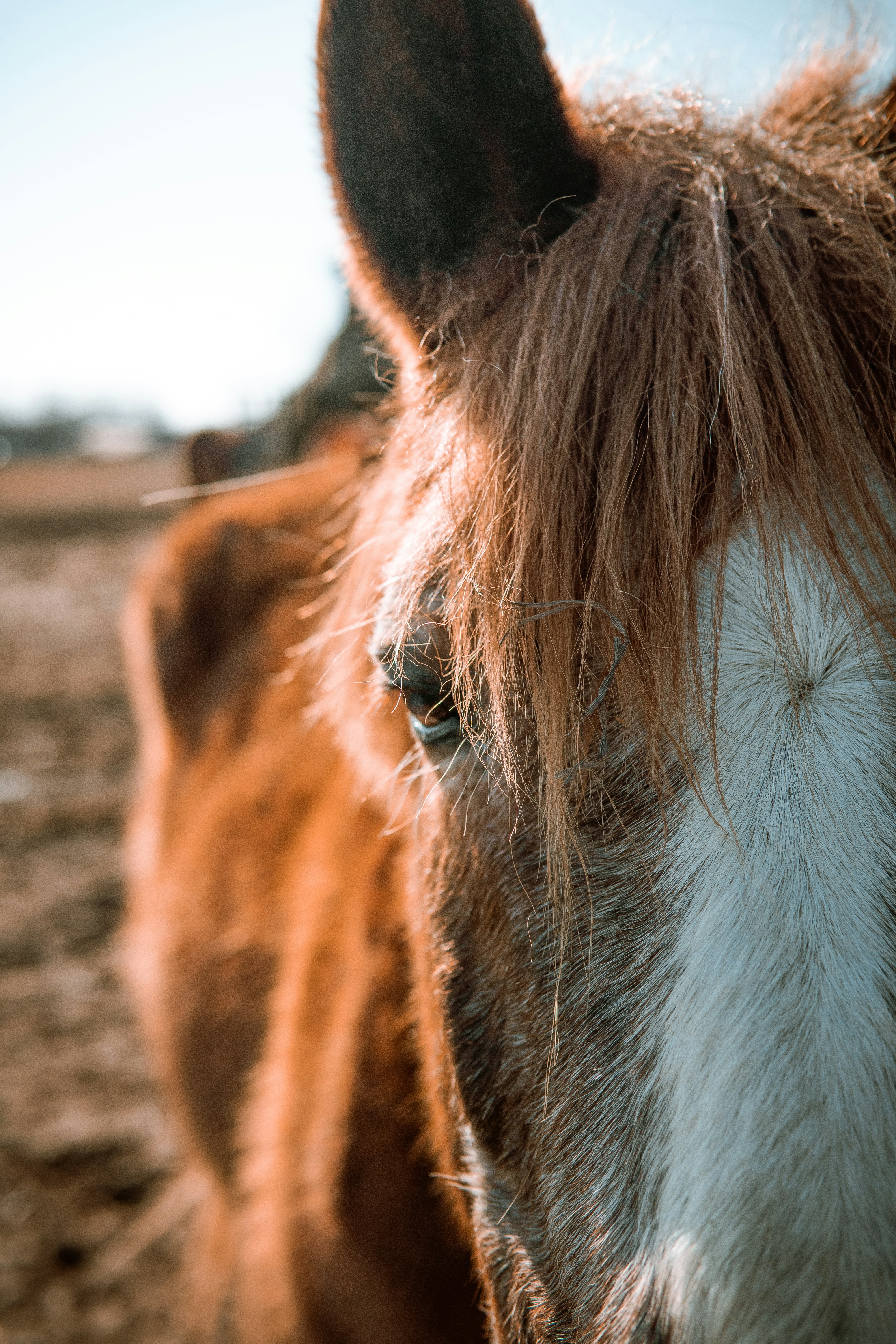 Photo by dereksutton