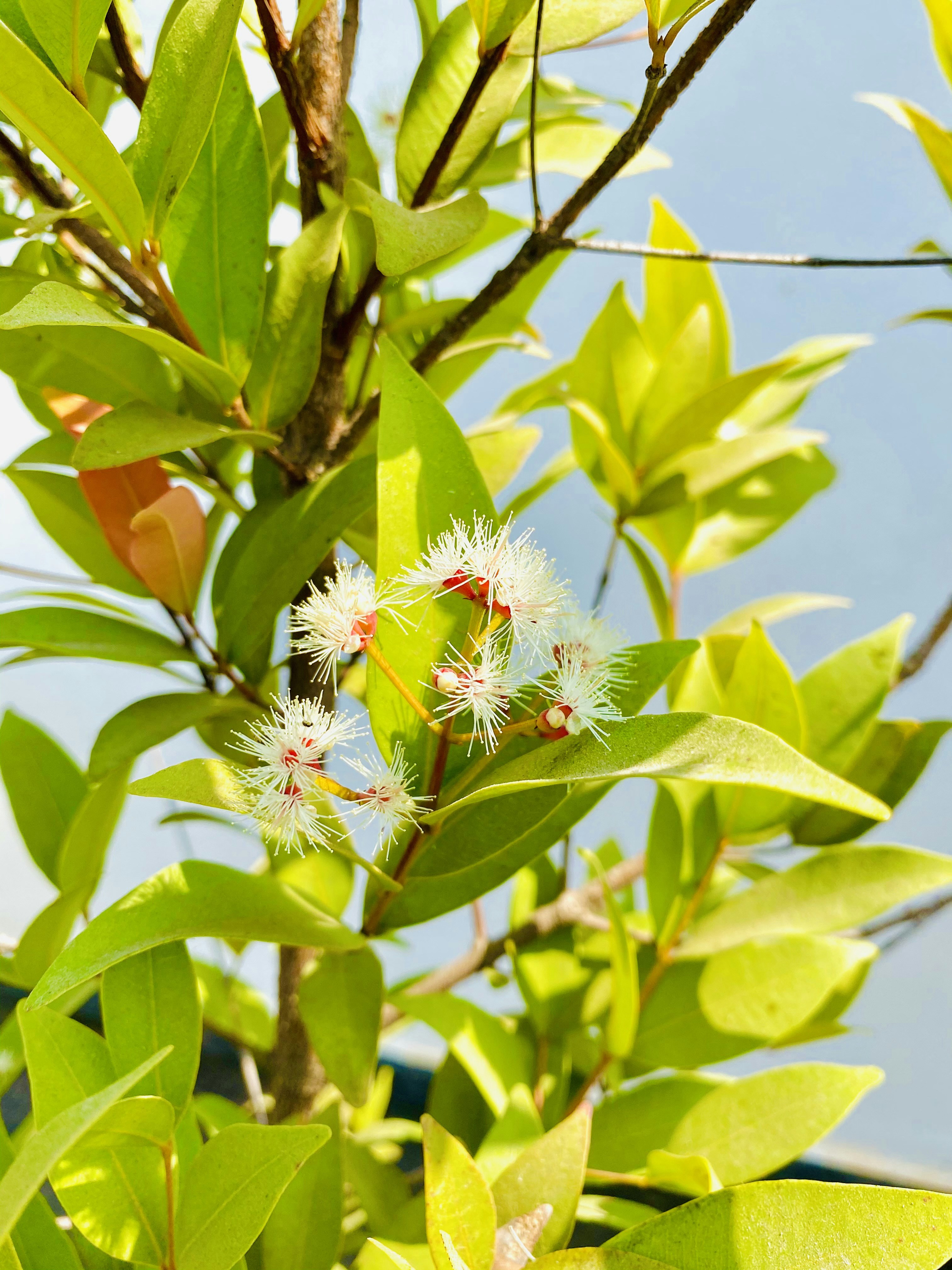 Photo by babluchowdary