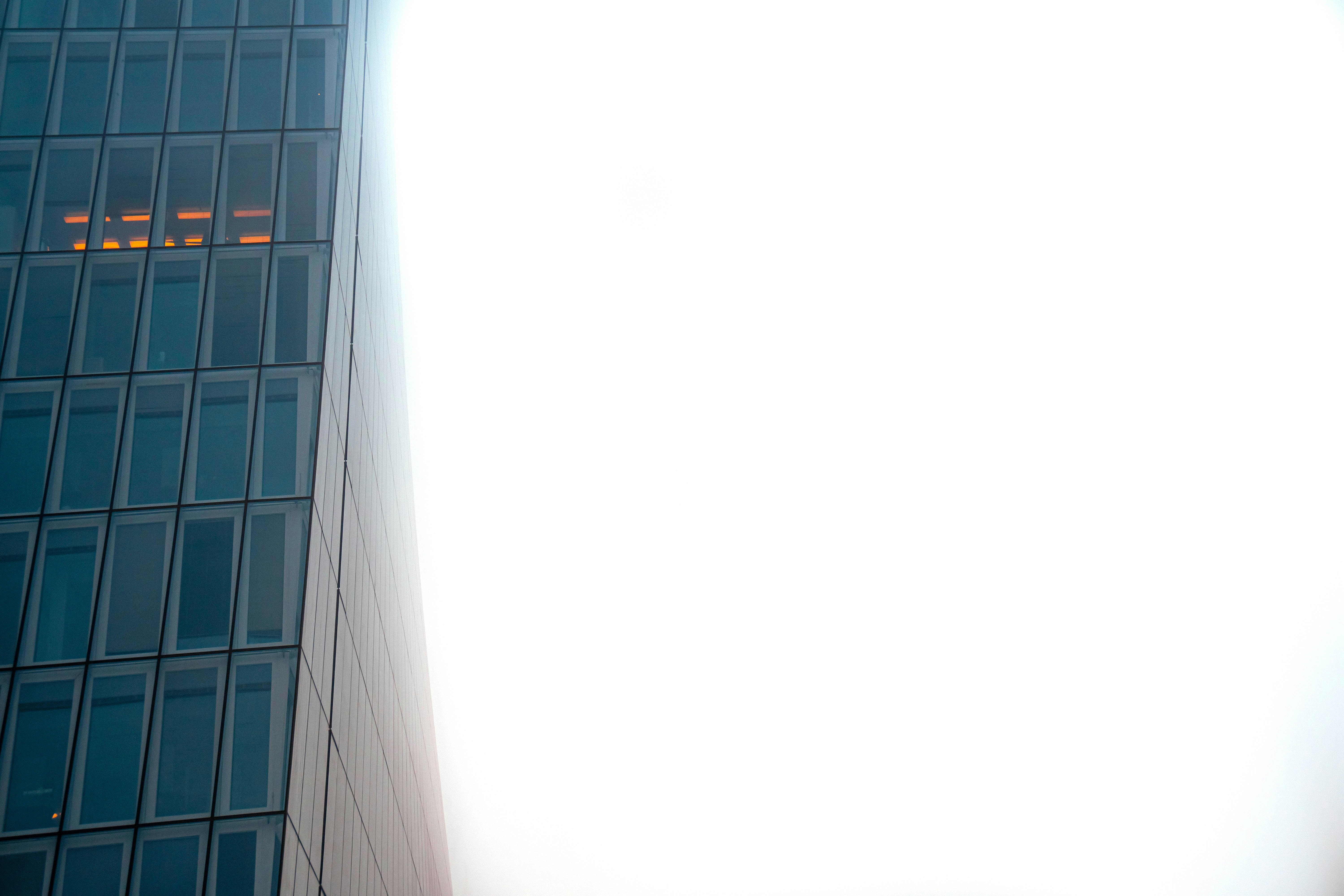 blue and white wall tiles