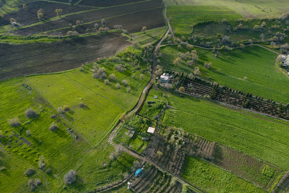 aerial view of green grass field during daytime