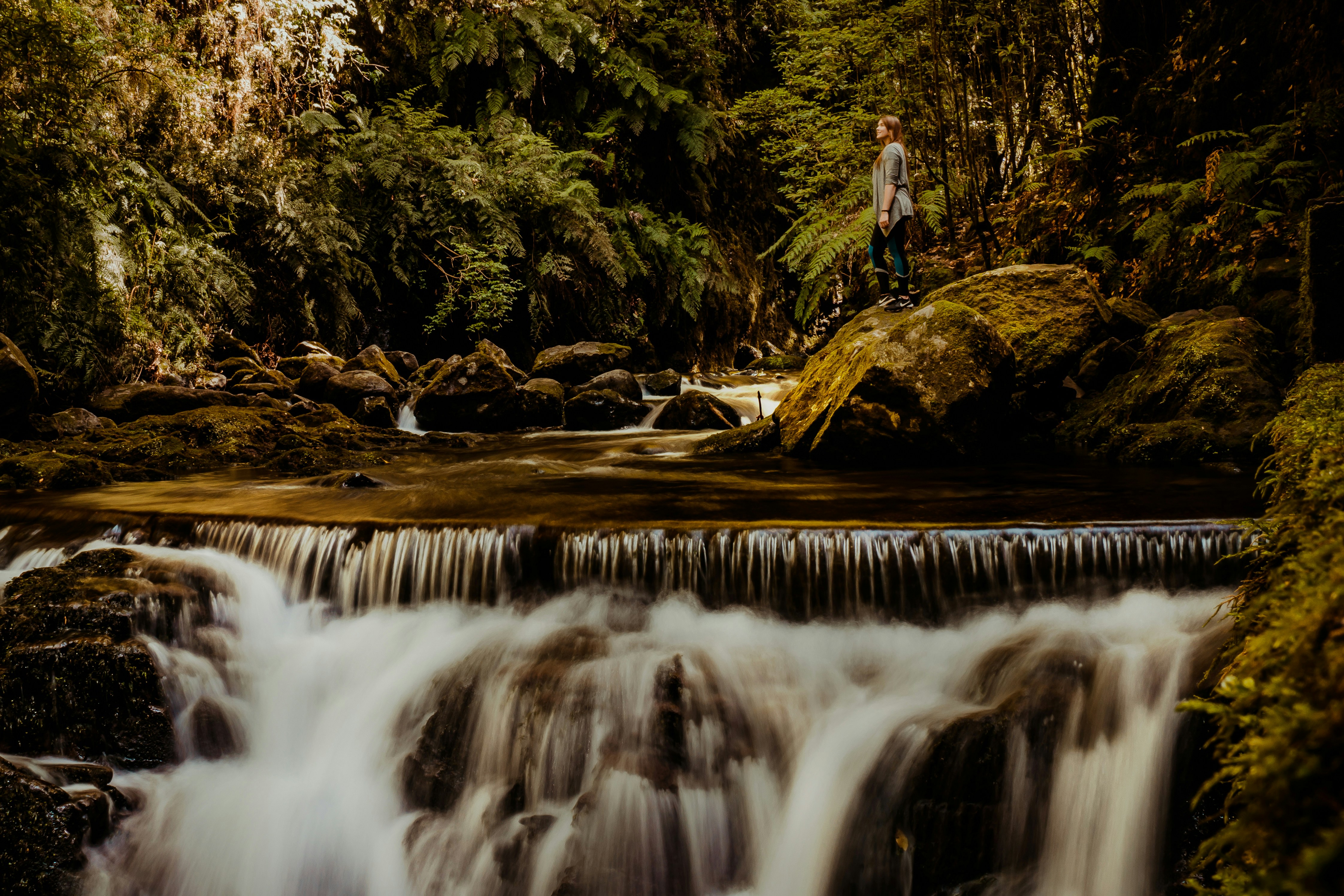 https://www.behance.net/gallery/117535909/LEVADA-DO-REI-MADEIRA-ISLAND