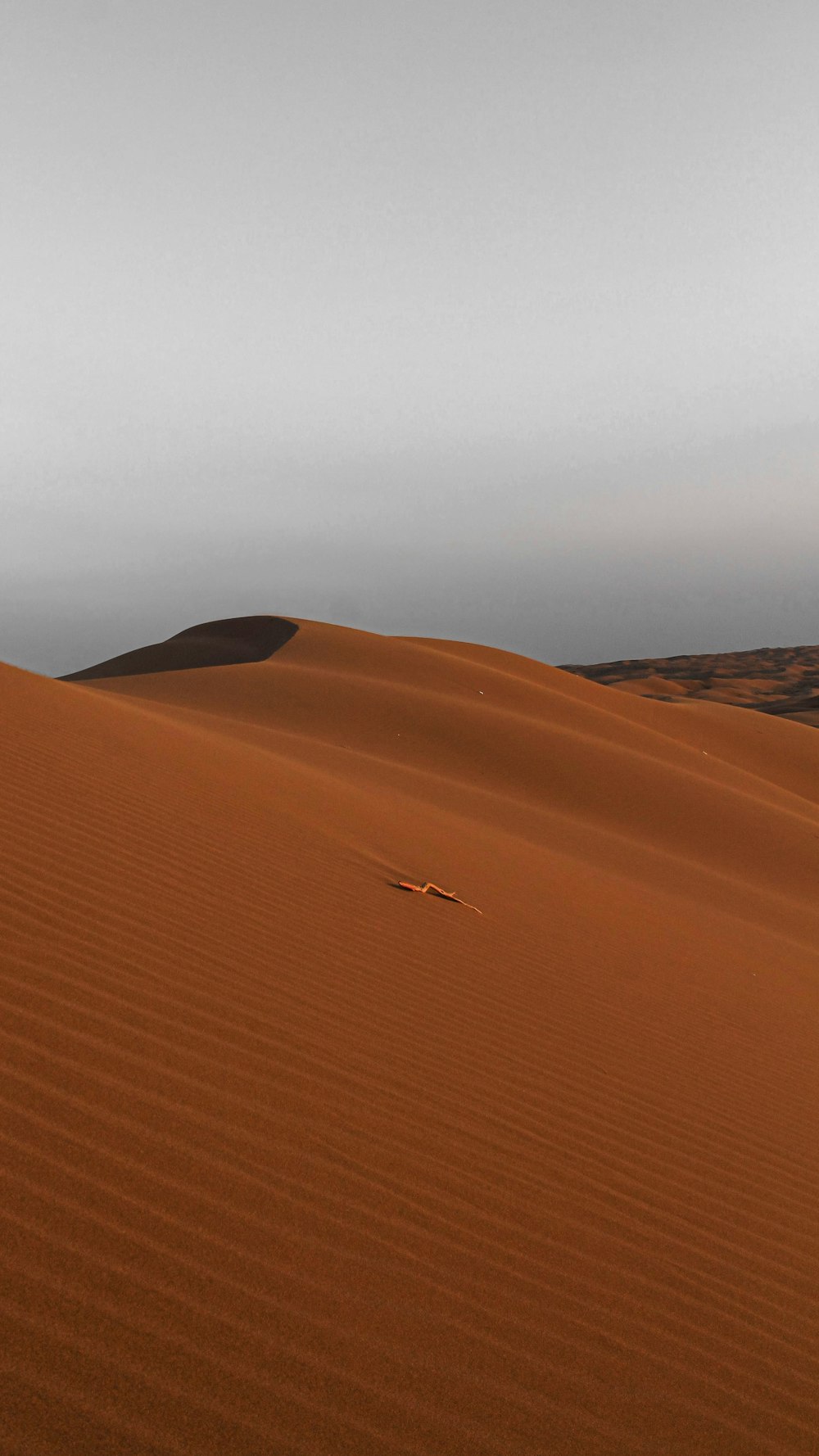 person in the desert during daytime