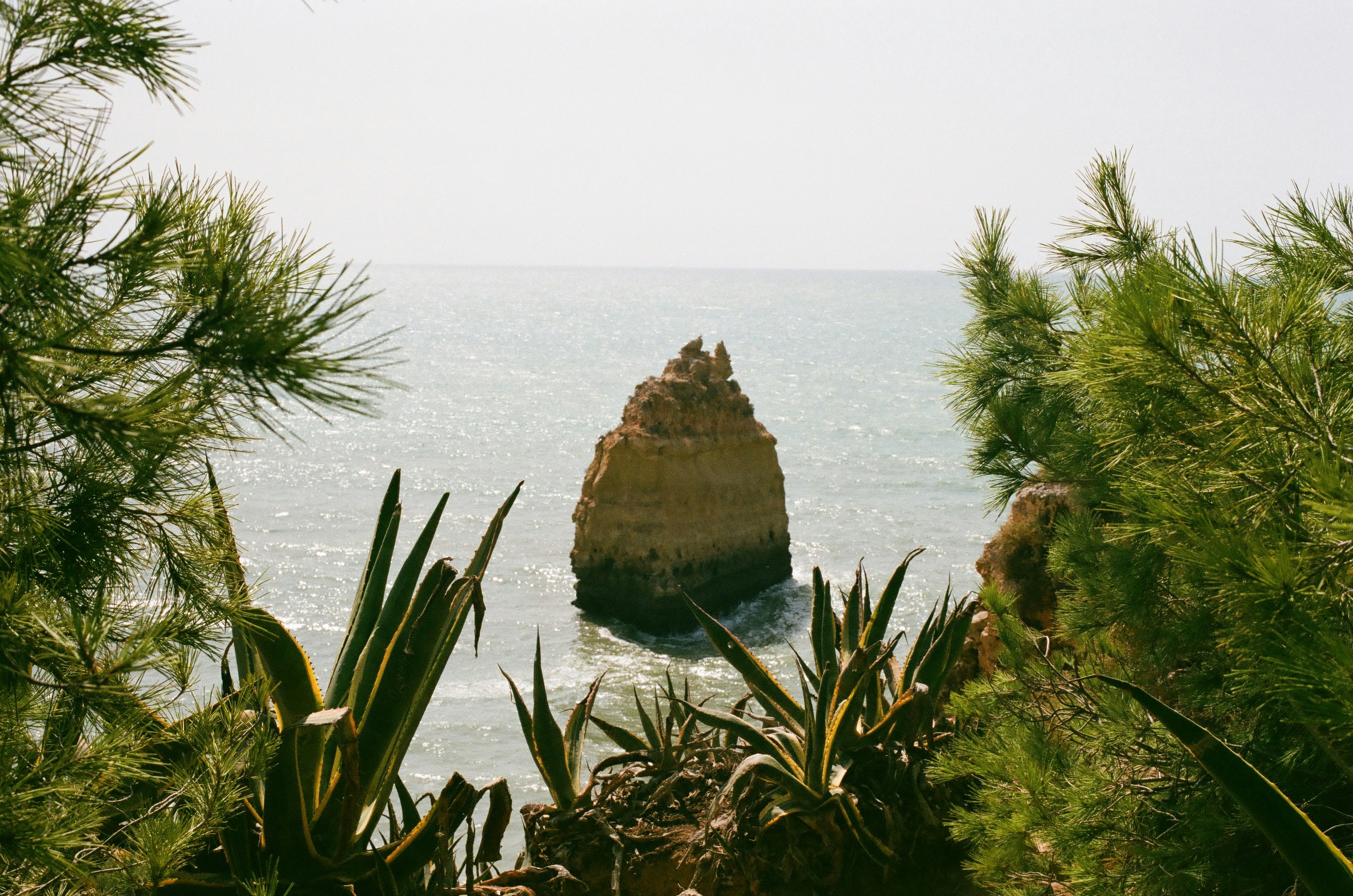 Photo by robbiekoeck